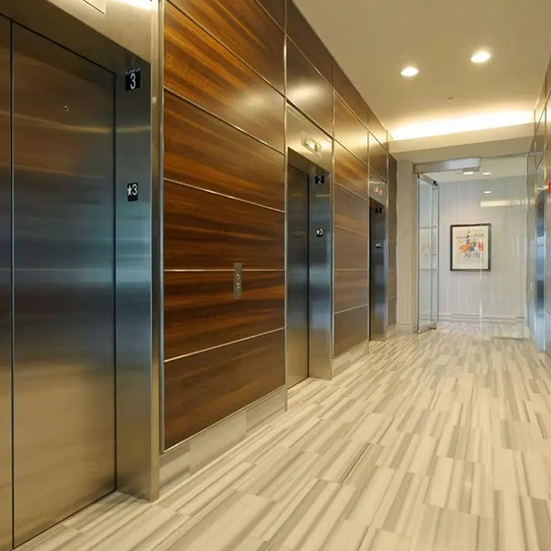 VTEP108 Elevadores Elevadores de passageiros rápidos e suaves para propriedades comerciais Serviço rápido