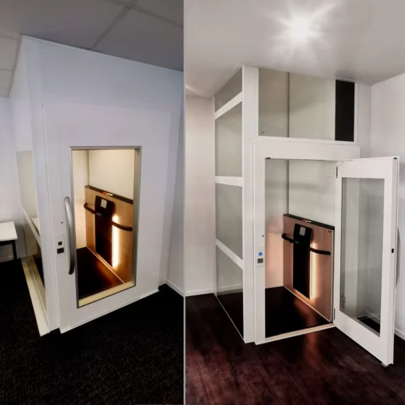 VTEV108 Ascensores Elevadores Elevador Villa Seguro e Confiável para Instalação de Casa Familiar