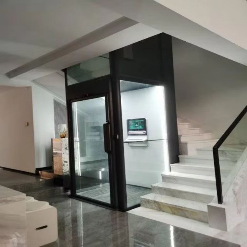 VTEV109 Ascensores Elevadores Elevador elegante de villa de vidro para casa duplex privada