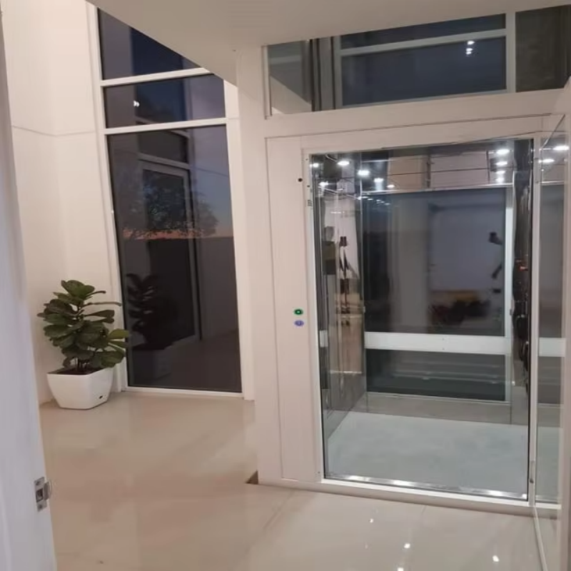 VTEV109 Ascensores Elevadores Elevador elegante de villa de vidro para casa duplex privada