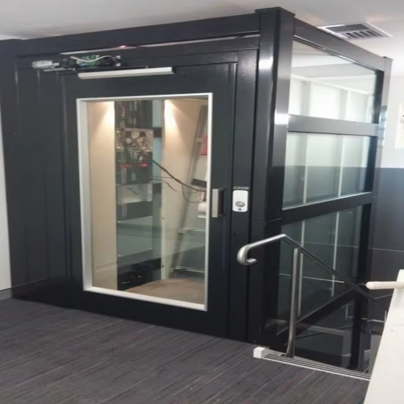VTEV109 Ascensores Elevadores Elevador elegante de villa de vidro para casa duplex privada