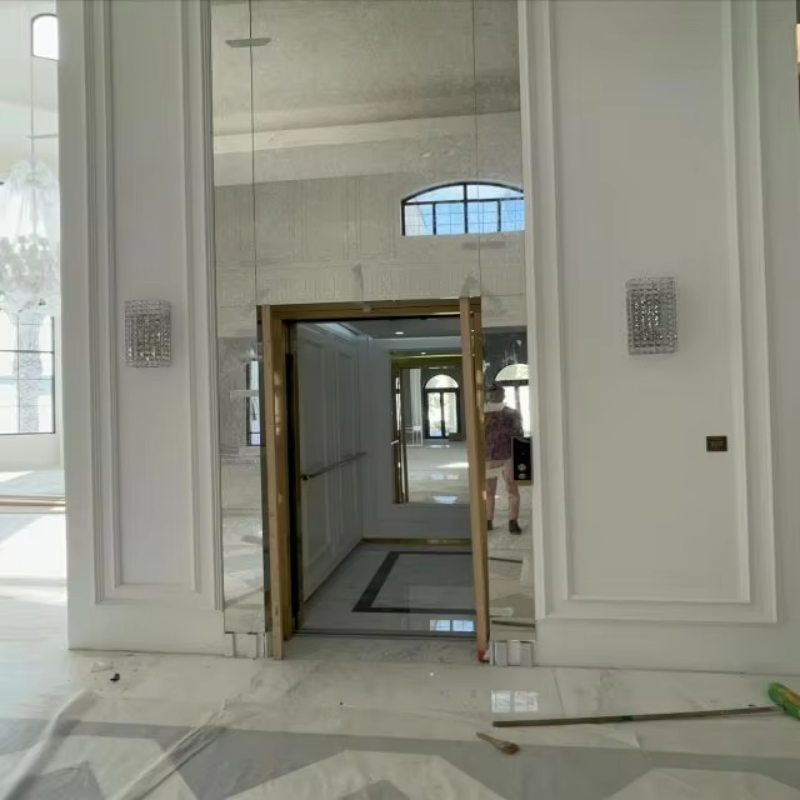 VTEV109 Ascensores Elevadores Elevador elegante de villa de vidro para casa duplex privada