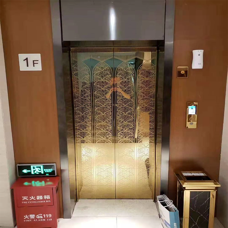 VTEO101 Ascensores Elevador de observação elegante para apartamentos de luxo e edifícios de escritórios