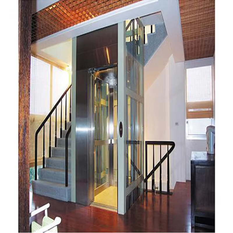 VTEV103 Ascensores Elevadores Smart Control Villa Lift para transporte doméstico confortável