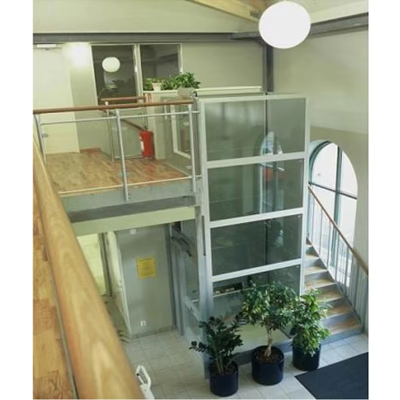 VTEV103 Ascensores Elevadores Smart Control Villa Lift para transporte doméstico confortável