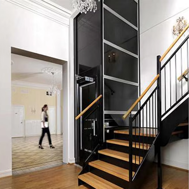 VTEV104 Ascensores Elevadores Elevador Villa de luxo em aço inoxidável para uso familiar