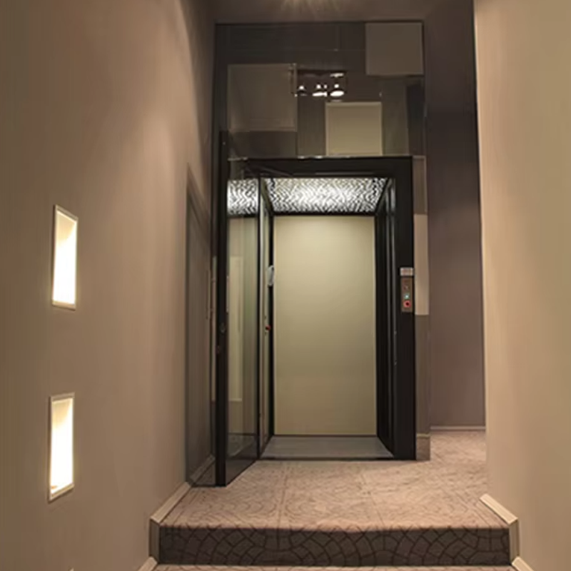 VTEV104 Ascensores Elevadores Elevador Villa de luxo em aço inoxidável para uso familiar