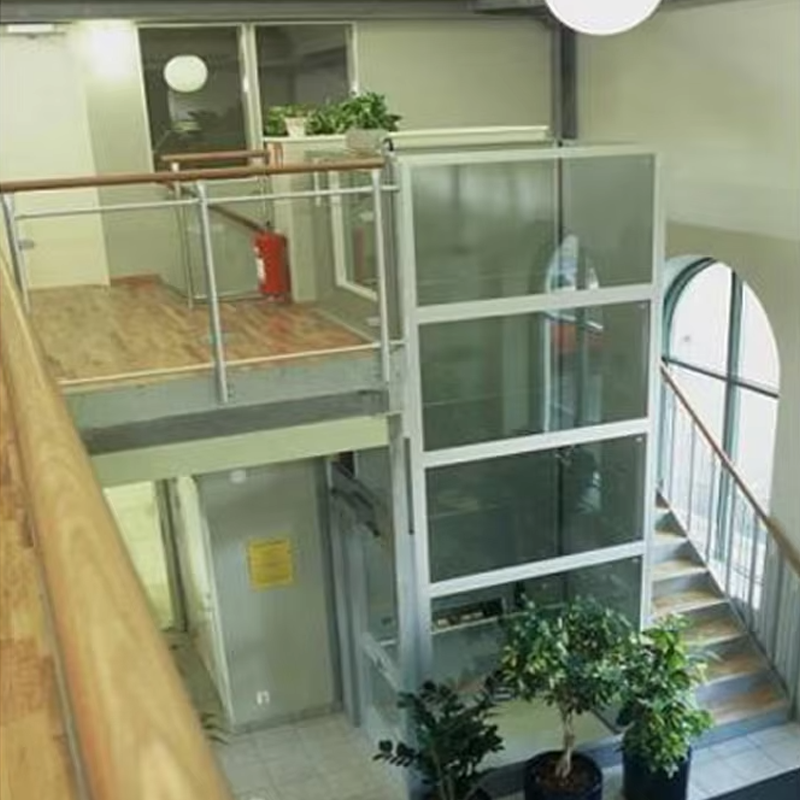 VTEV105 Ascensores Elevadores Cabine Villa Elevador Personalizado para Decoração de Interiores