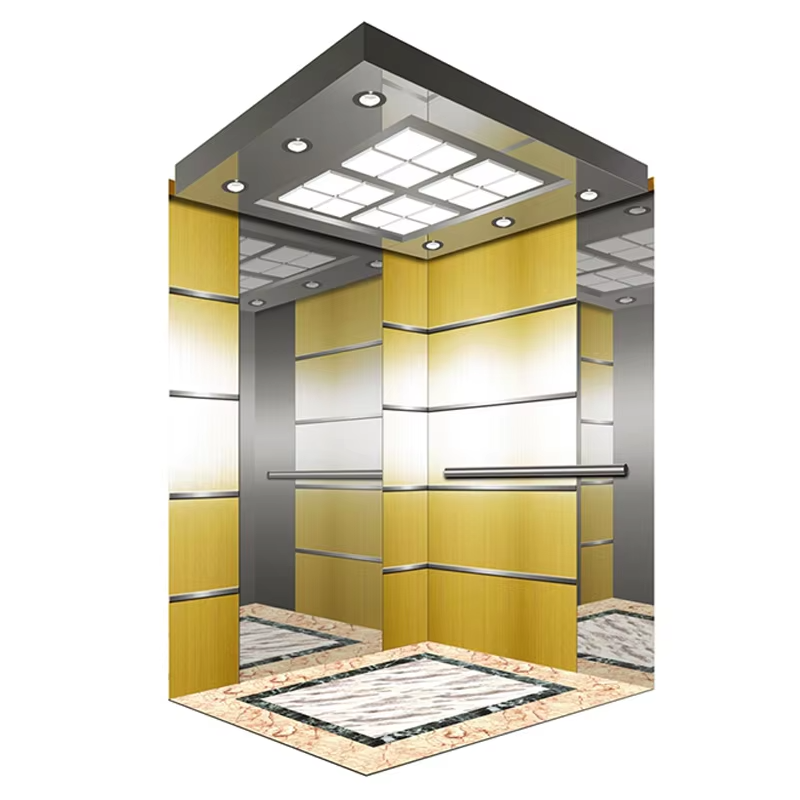 VTSP125 personalizou a construção de aço inoxidável da cabine do elevador do passageiro característica de baixo nível de ruído opções múltiplas do revestimento da garantia de 1 ano