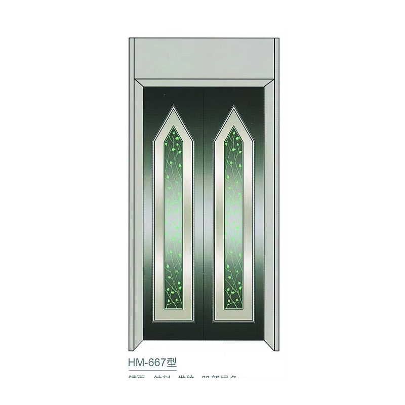 VTSP204 Sistema de porta de elevador de alta qualidade em aço inoxidável painel de porta manual de vidro pintado