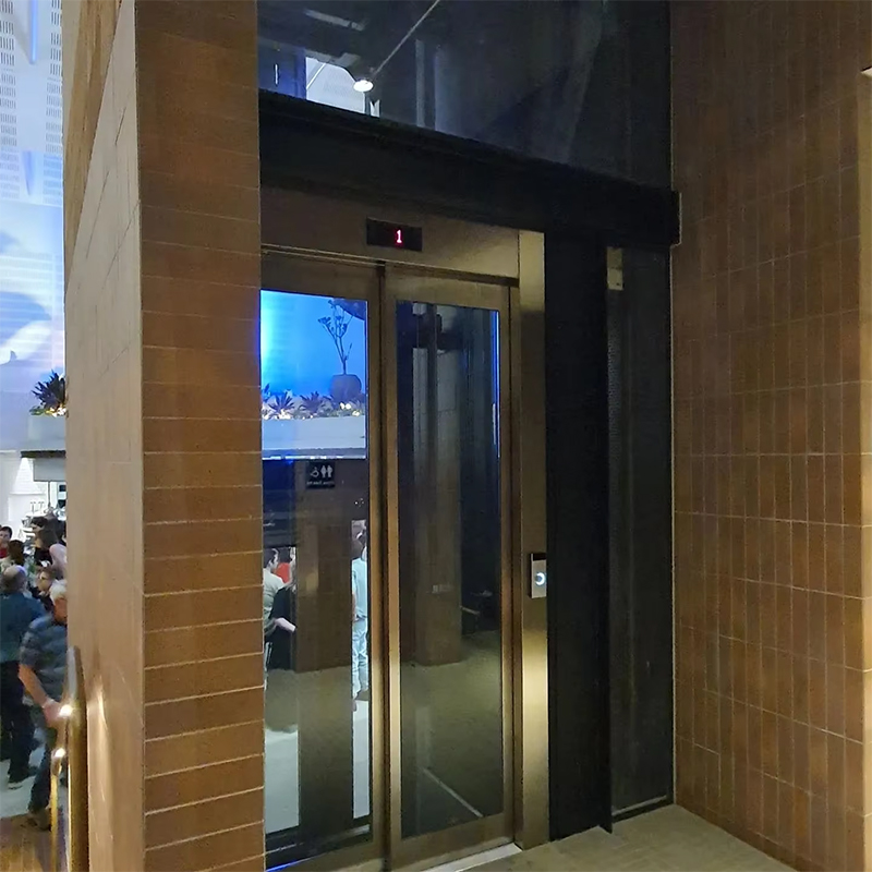 VTEP119 Ascensores elevadores de passageiros AC sem engrenagens para edifícios de vários andares com certificação ISO9001 de fácil instalação em aço inoxidável