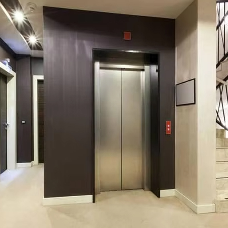 Elevador residencial Gearless personalizado luxuoso do passageiro da movimentação da C.A. VTEP123 com projeto panorâmico