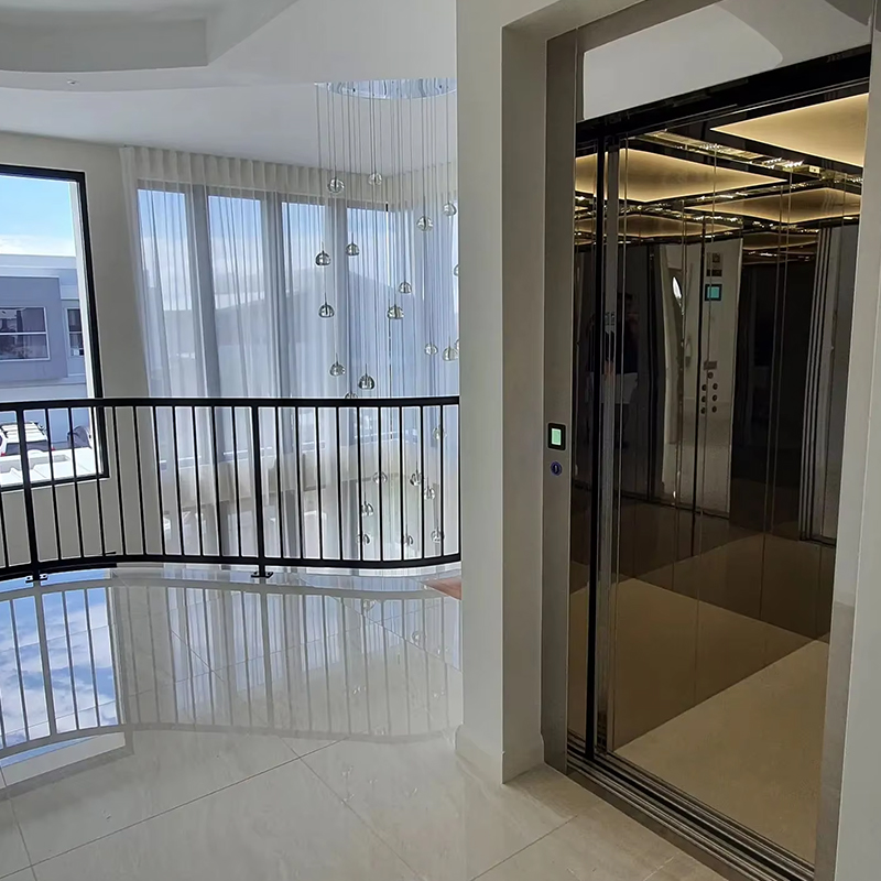 Elevador residencial Gearless personalizado luxuoso do passageiro da movimentação da C.A. VTEP123 com projeto panorâmico