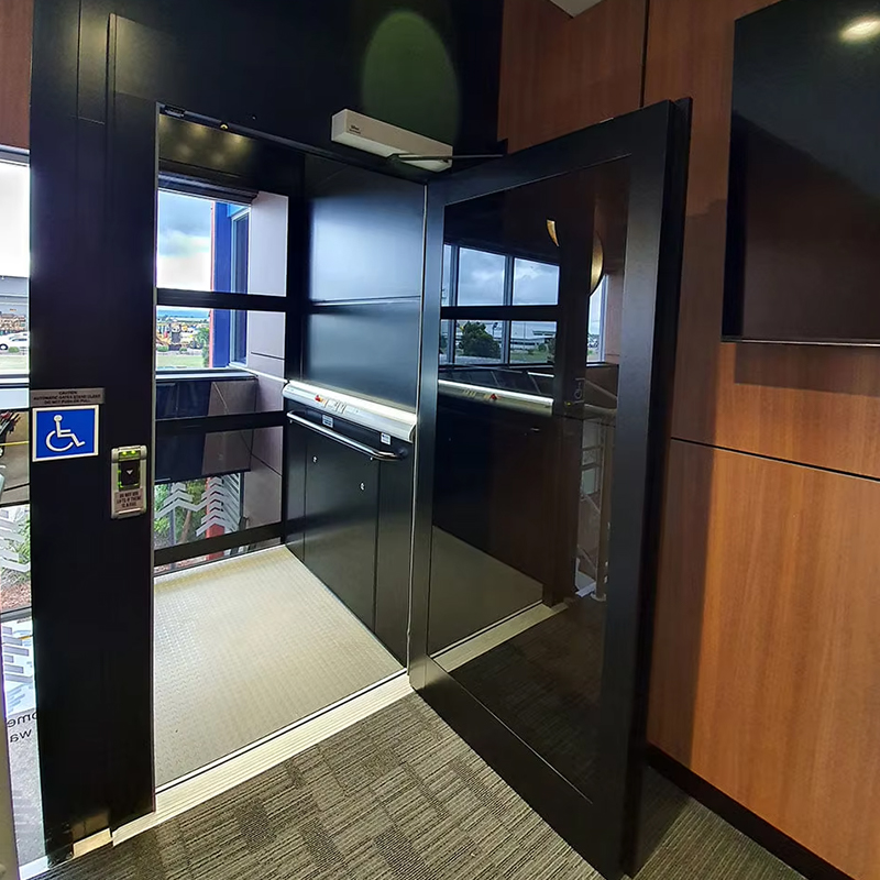 Elevador residencial Gearless personalizado luxuoso do passageiro da movimentação da C.A. VTEP123 com projeto panorâmico