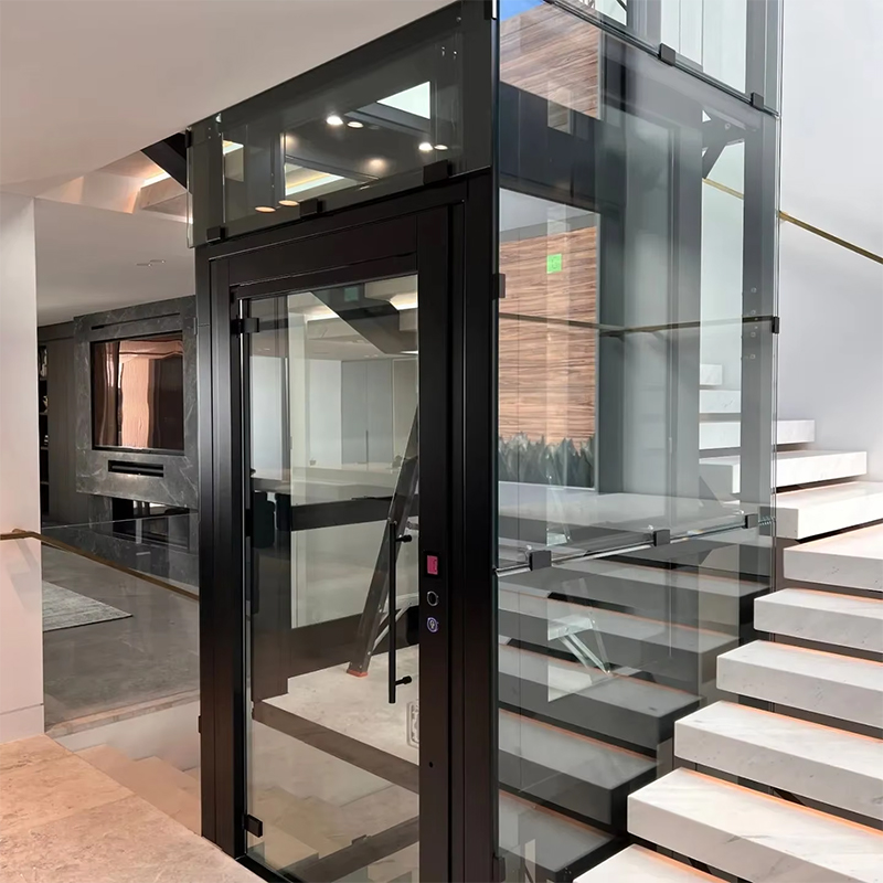 Elevador residencial Gearless personalizado luxuoso do passageiro da movimentação da C.A. VTEP123 com projeto panorâmico