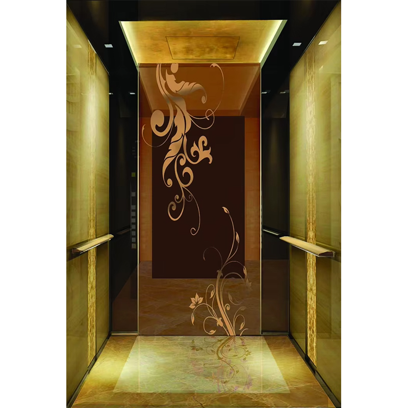 Cabine do elevador do hotel de luxo VTSP133 com design contemporâneo de aço inoxidável premium cor personalizada garantia de 1 ano