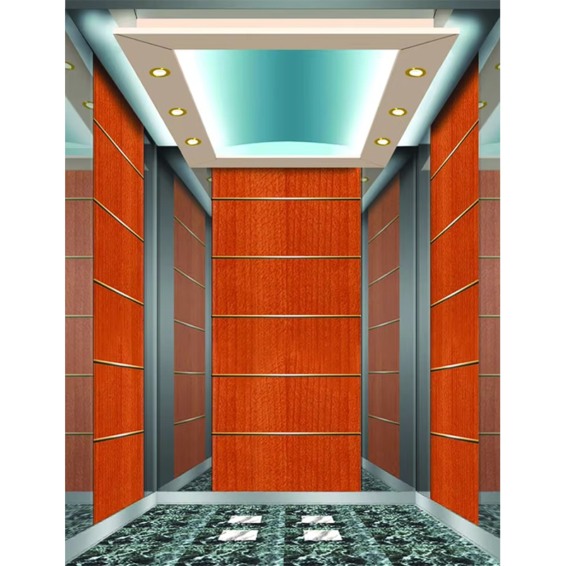 Cabine do elevador do hotel de luxo VTSP133 com design contemporâneo de aço inoxidável premium cor personalizada garantia de 1 ano