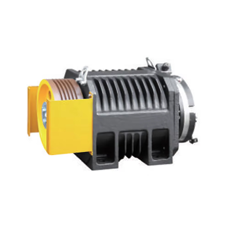 Motor Gearless do elevador do motor 320-1000KGS do elevador de MachineMona da tração VTSP248