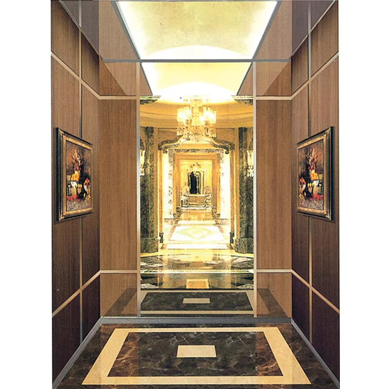 Cabine de elevador de passageiros com peças e acessórios do elevador VTSP126 com decoração interior moderna