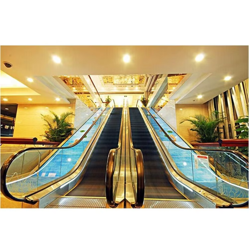 VTES109 usou elevador de escada rolante de shopping center de 30 ângulos na China para venda